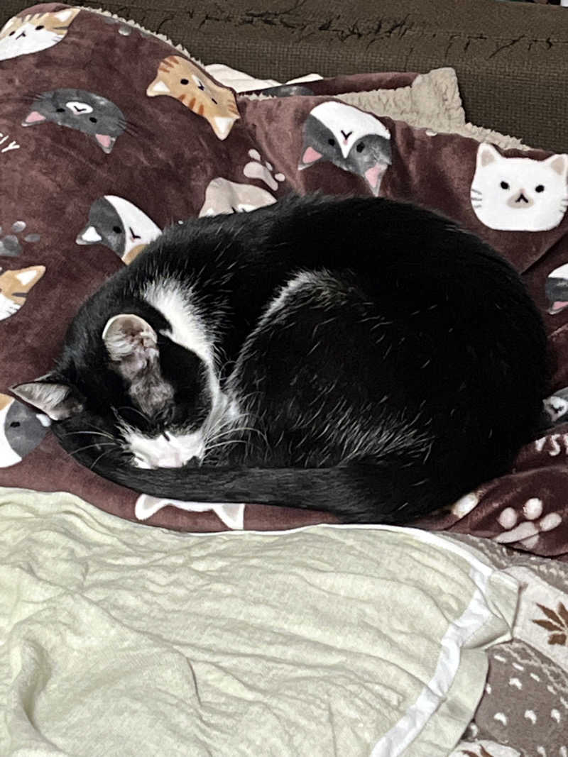 猫boyまたはブラックティーちゃん（仮名さんのサウナヘヴン草加のサ活写真