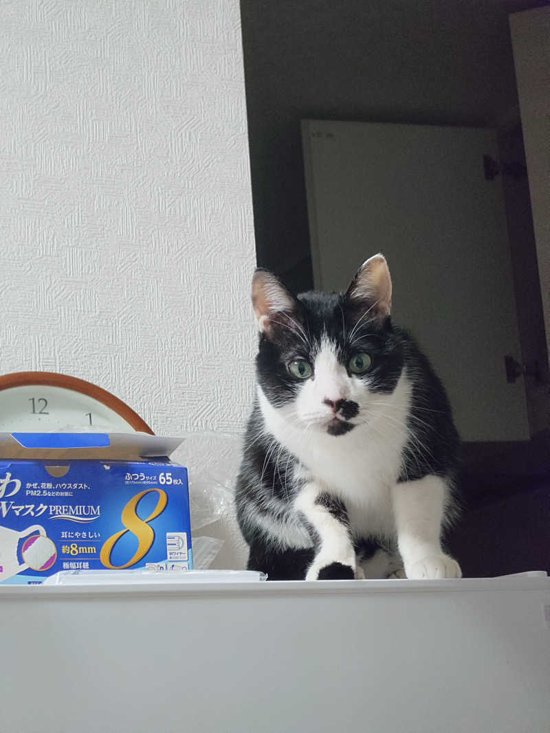 猫boyまたはブラックティーちゃん（仮名さんのサウナヘヴン草加のサ活写真