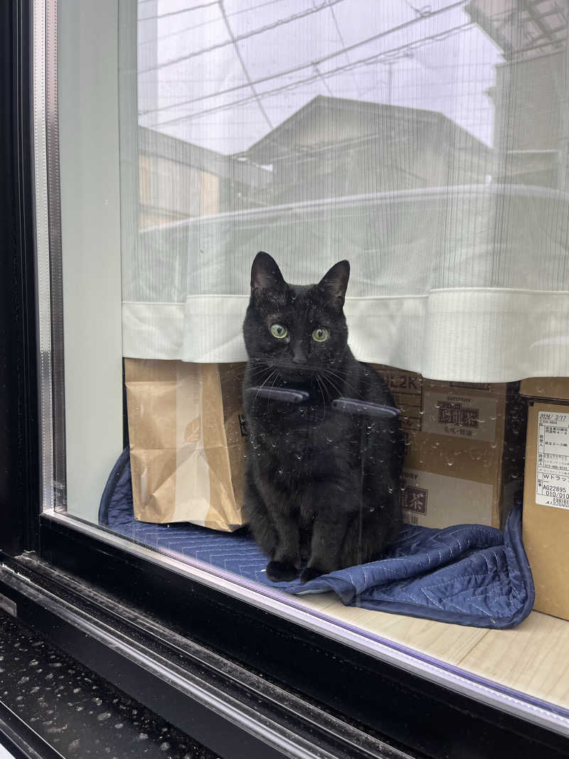 猫boyまたはブラックティーちゃん（仮名さんのサウナヘヴン草加のサ活写真