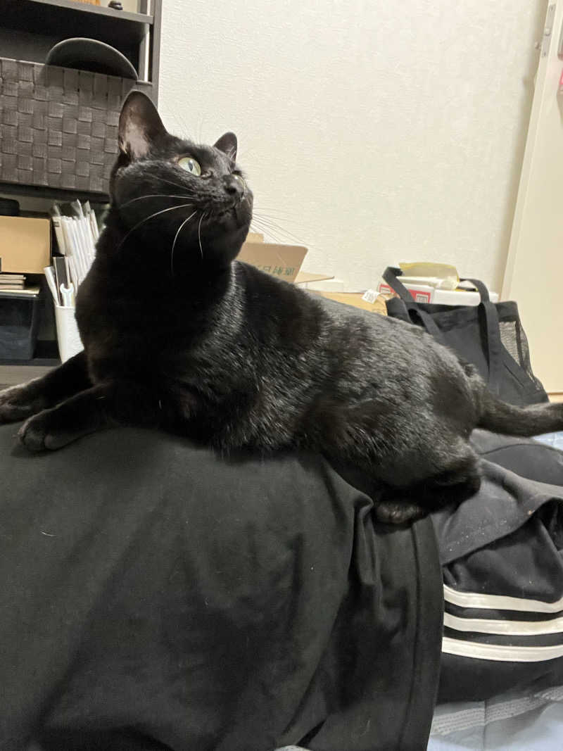 猫boyまたはブラックティーちゃん（仮名さんのサウナヘヴン草加のサ活写真