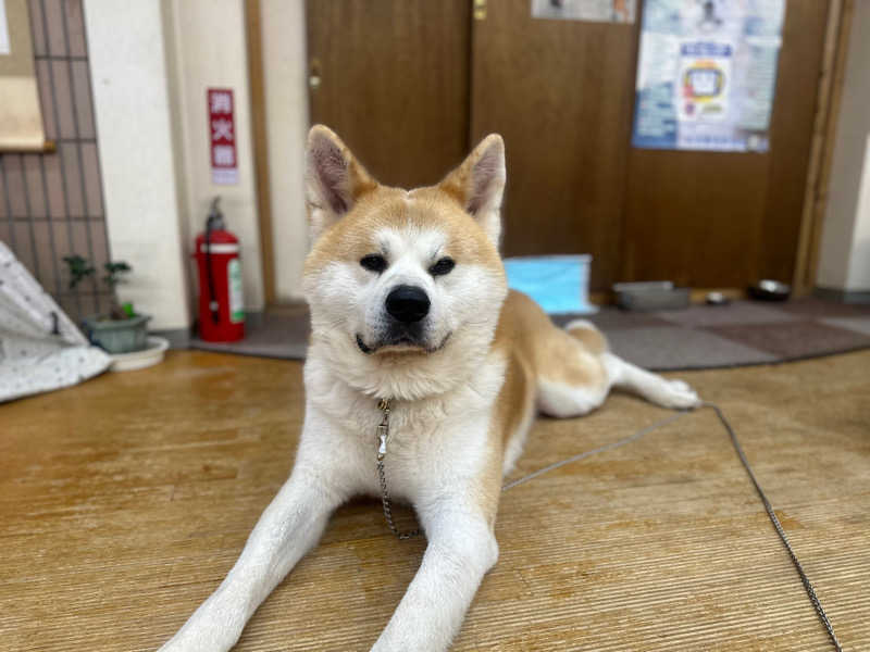 ごさんのからまつ山荘・東兵衛温泉のサ活写真