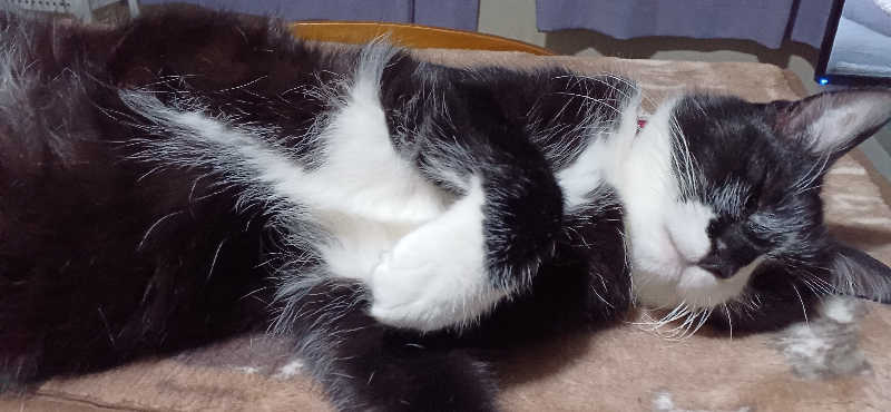 かおりんさんの健康ふれあいセンター いなほの湯のサ活写真