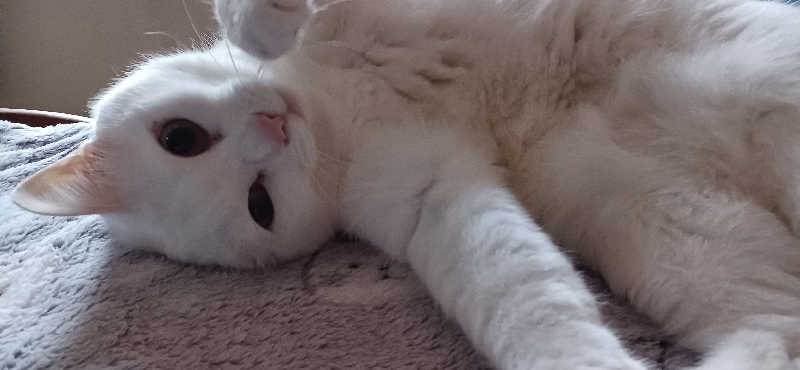 かおりんさんの健康ふれあいセンター いなほの湯のサ活写真