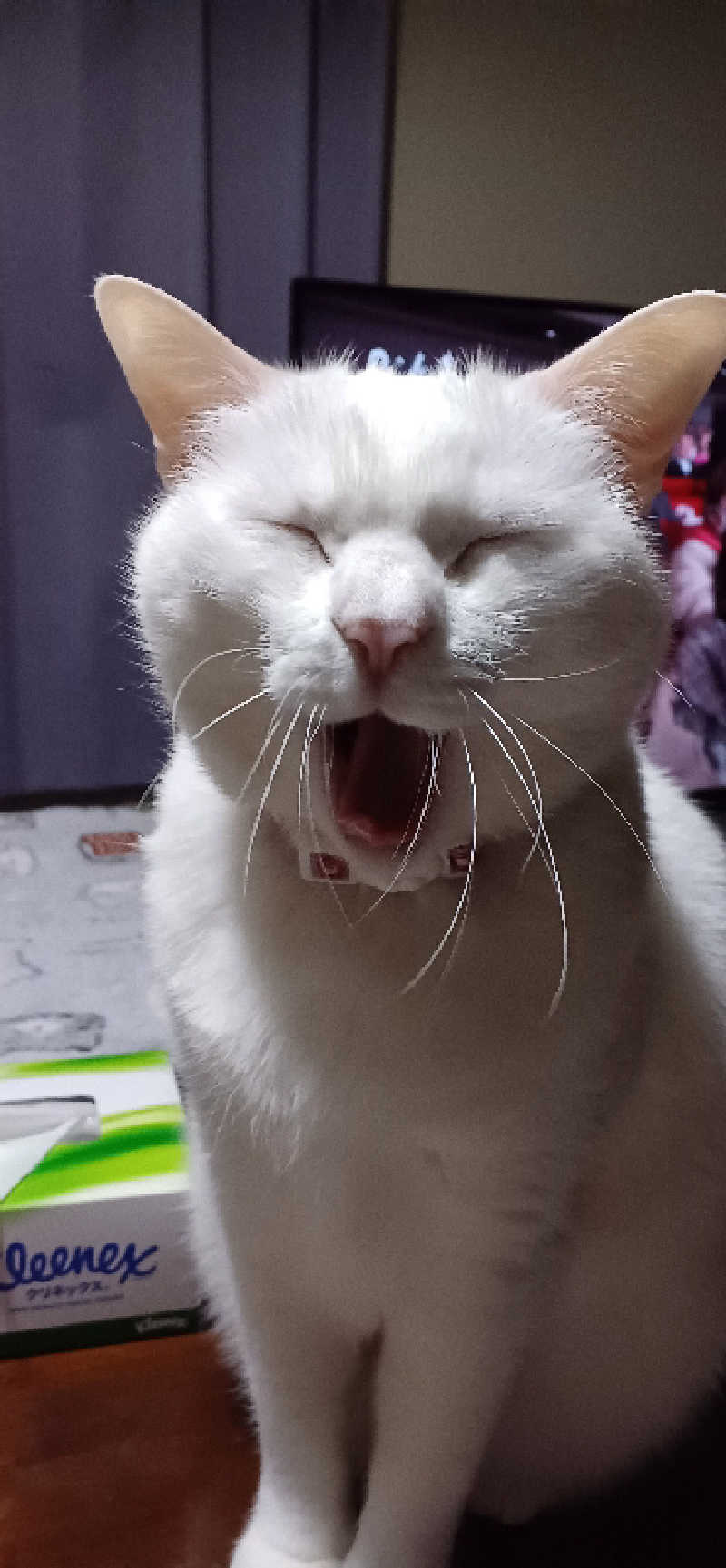 かおりんさんのYUBUNE SAUNA PARK はにゅうの湯のサ活写真