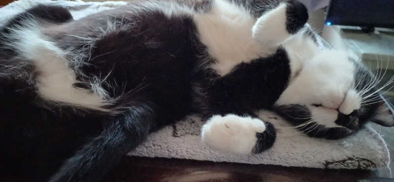 かおりんさんのYUBUNE SAUNA PARK はにゅうの湯のサ活写真