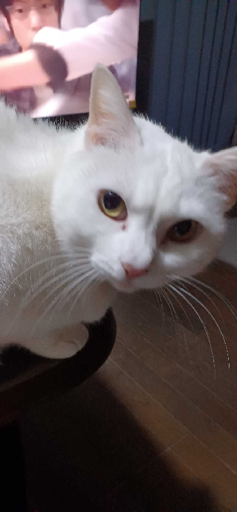 かおりんさんのYUBUNE SAUNA PARK はにゅうの湯のサ活写真