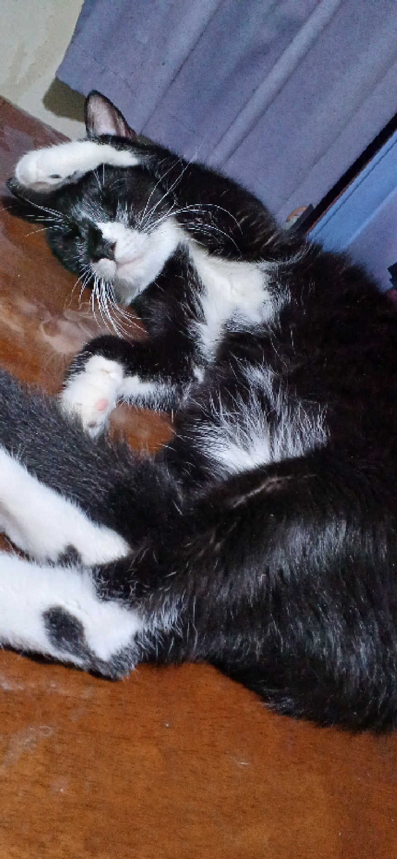 かおりんさんのYUBUNE SAUNA PARK はにゅうの湯のサ活写真