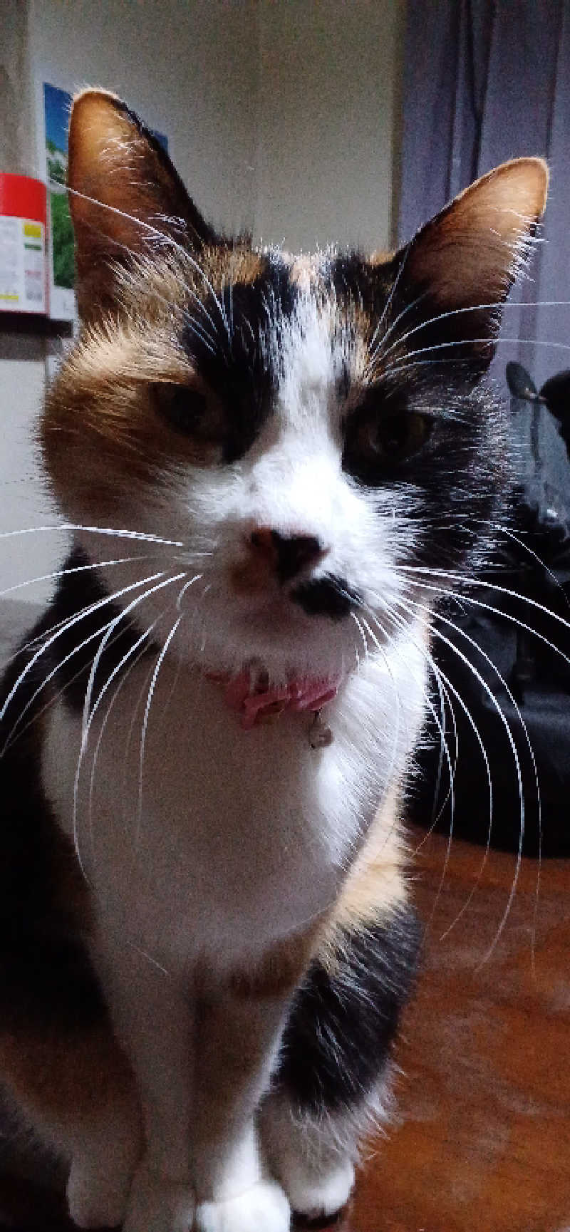 かおりんさんのYUBUNE SAUNA PARK はにゅうの湯のサ活写真