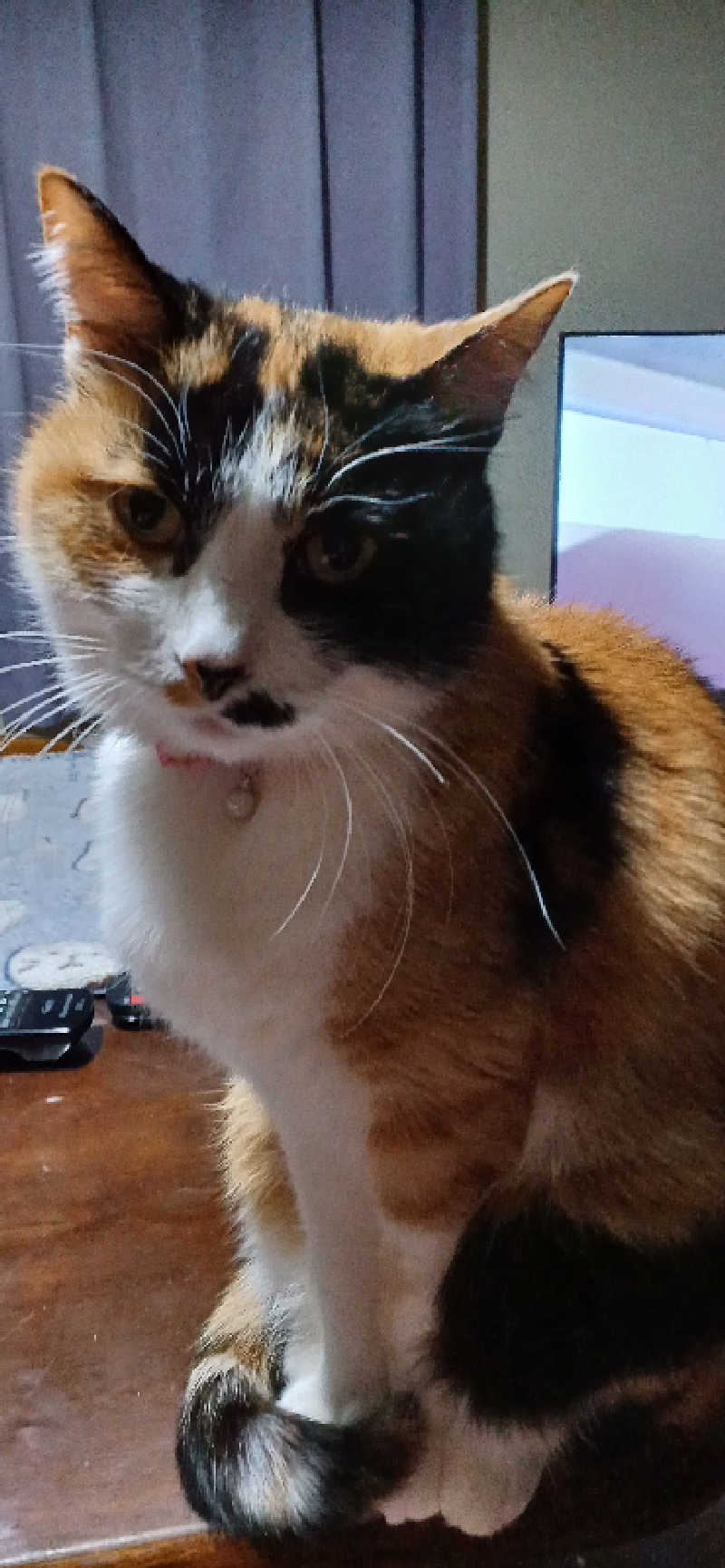 かおりんさんのYUBUNE SAUNA PARK はにゅうの湯のサ活写真