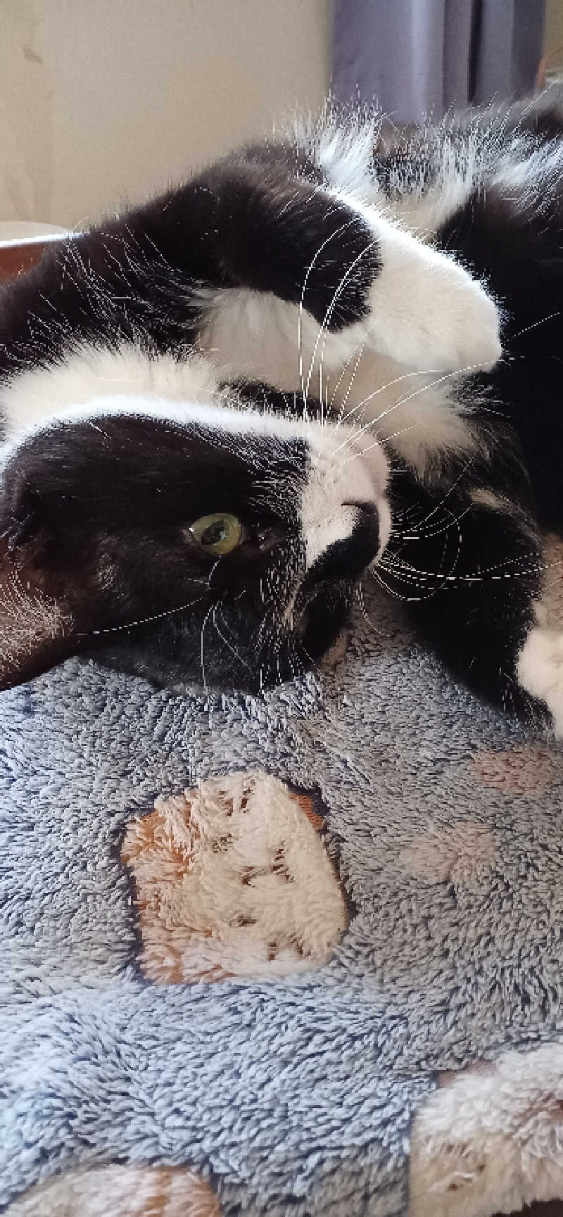 かおりんさんのYUBUNE SAUNA PARK はにゅうの湯のサ活写真