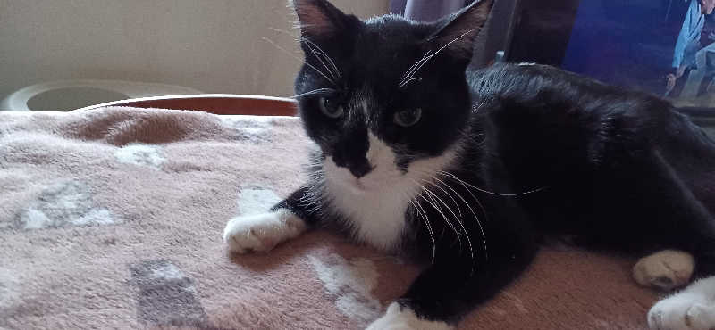 かおりんさんのYUBUNE SAUNA PARK はにゅうの湯のサ活写真