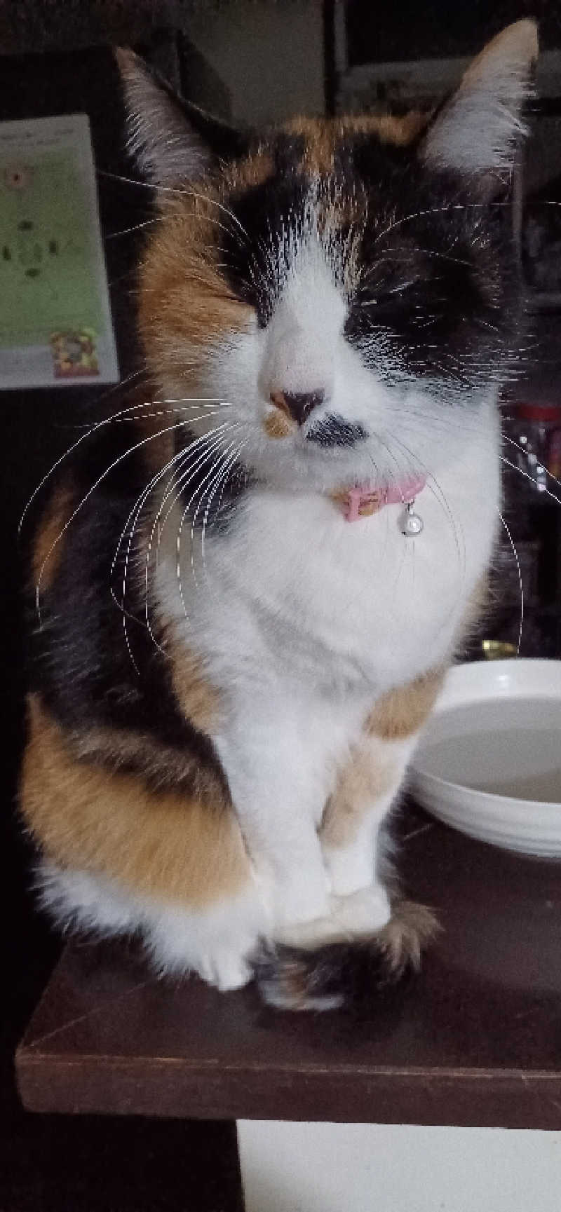 かおりんさんのYUBUNE SAUNA PARK はにゅうの湯のサ活写真