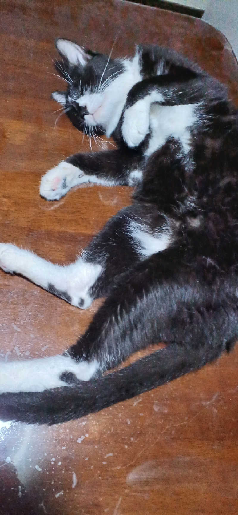 かおりんさんのYUBUNE SAUNA PARK はにゅうの湯のサ活写真