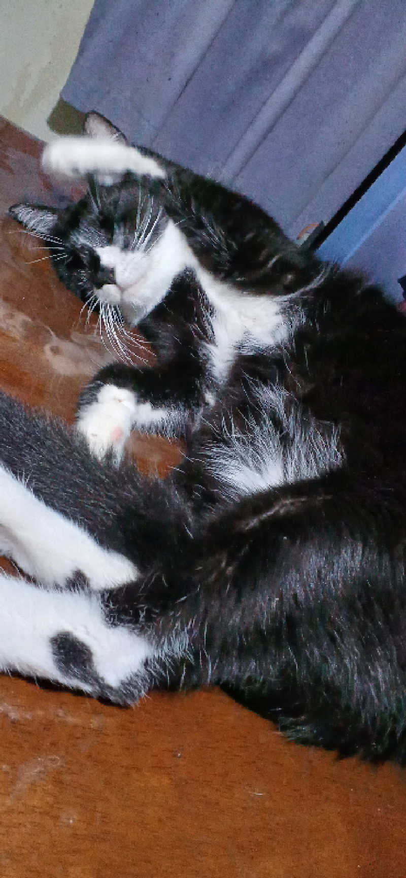 かおりんさんのYUBUNE SAUNA PARK はにゅうの湯のサ活写真