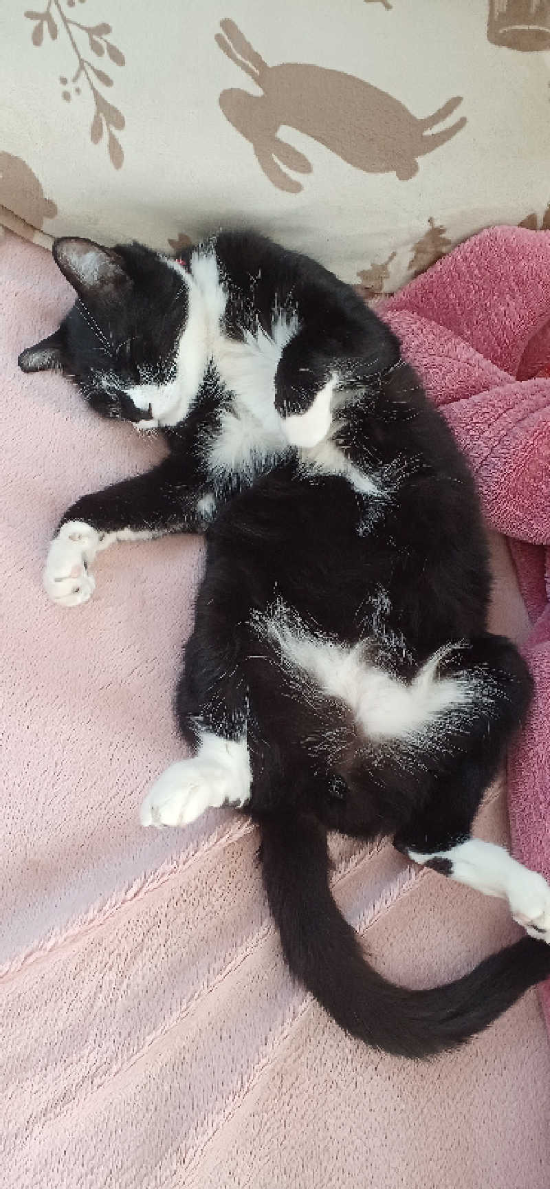 かおりんさんのYUBUNE SAUNA PARK はにゅうの湯のサ活写真