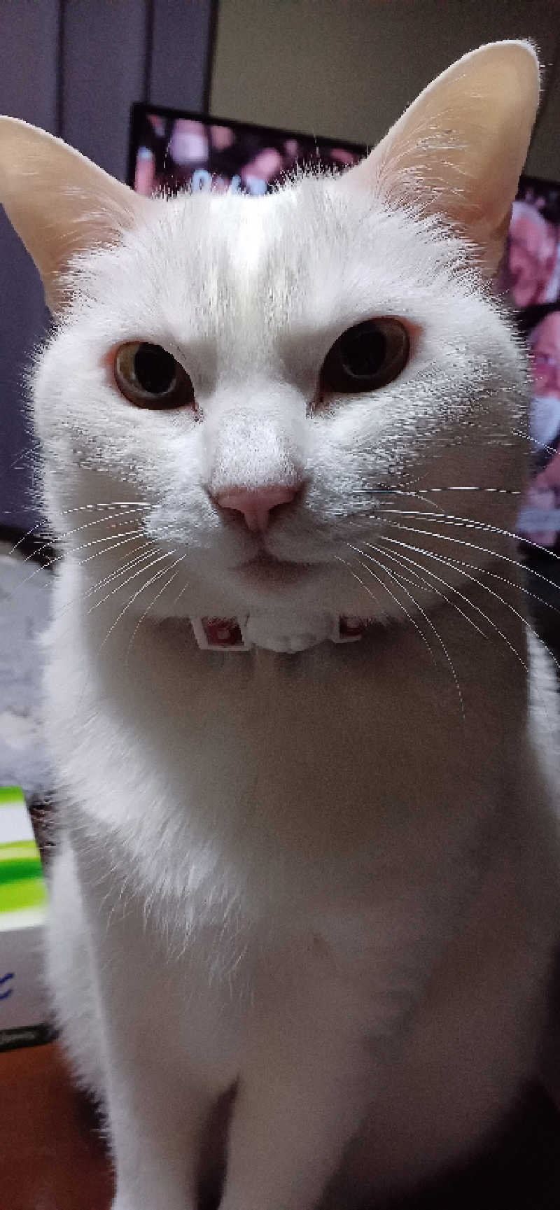 かおりんさんのYUBUNE SAUNA PARK はにゅうの湯のサ活写真