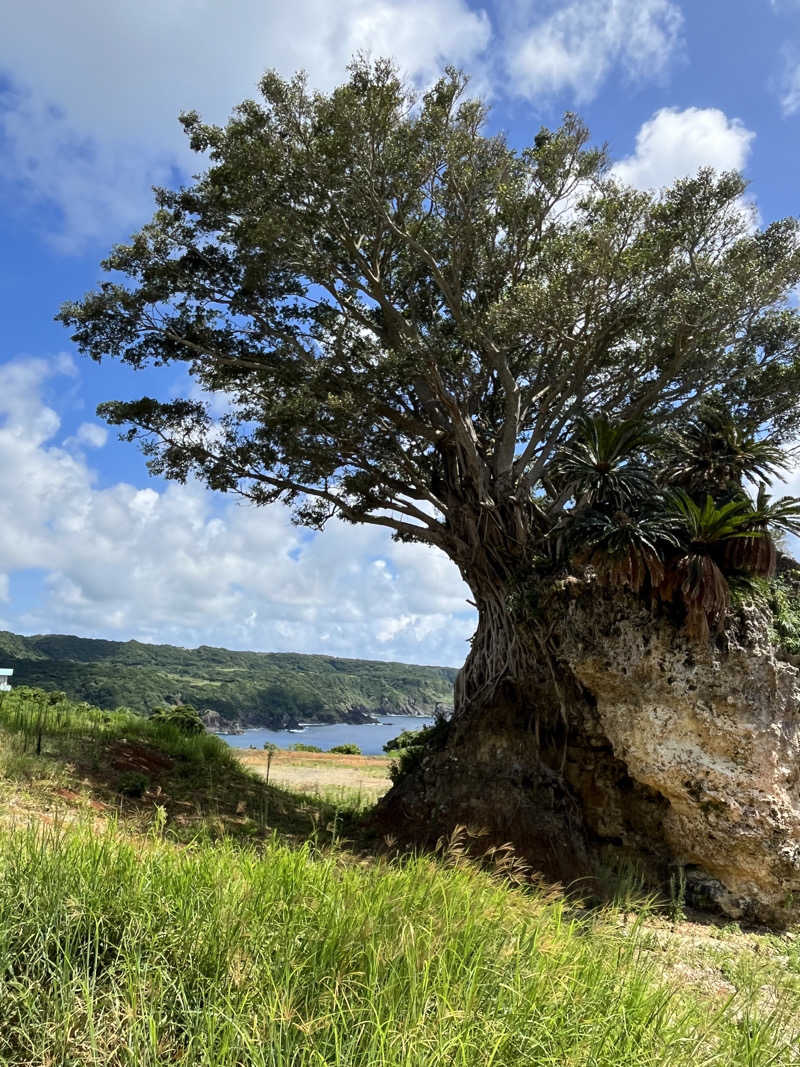 ボナサームさんのほーらい館のサ活写真