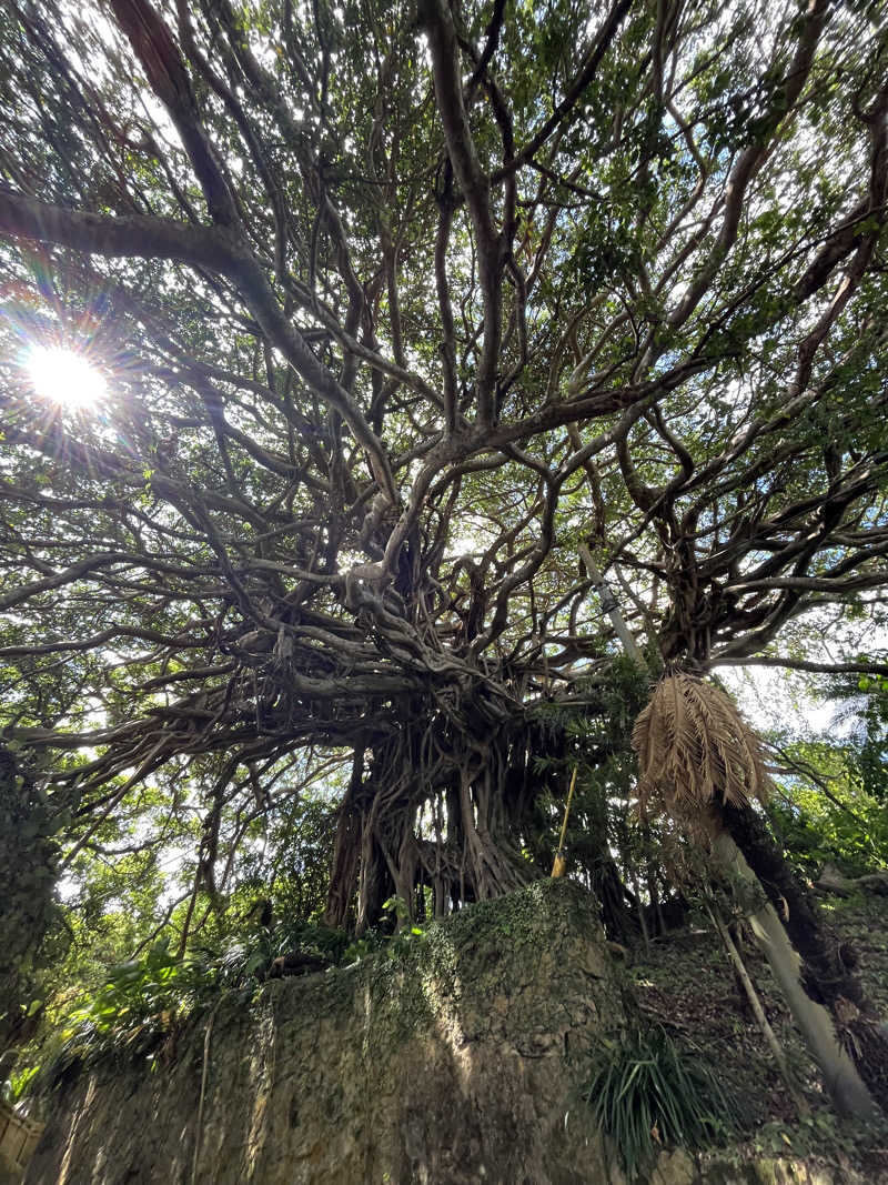 ボナサームさんのほーらい館のサ活写真