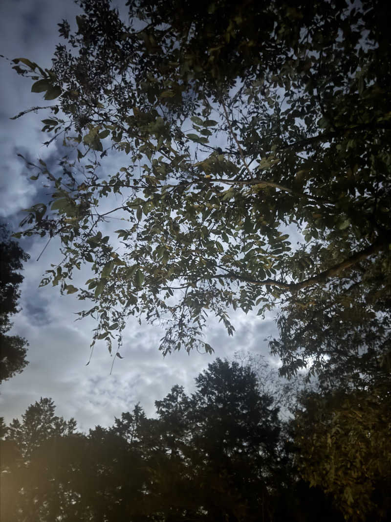 Yukunkmr70さんのDAICHI silent riverのサ活写真