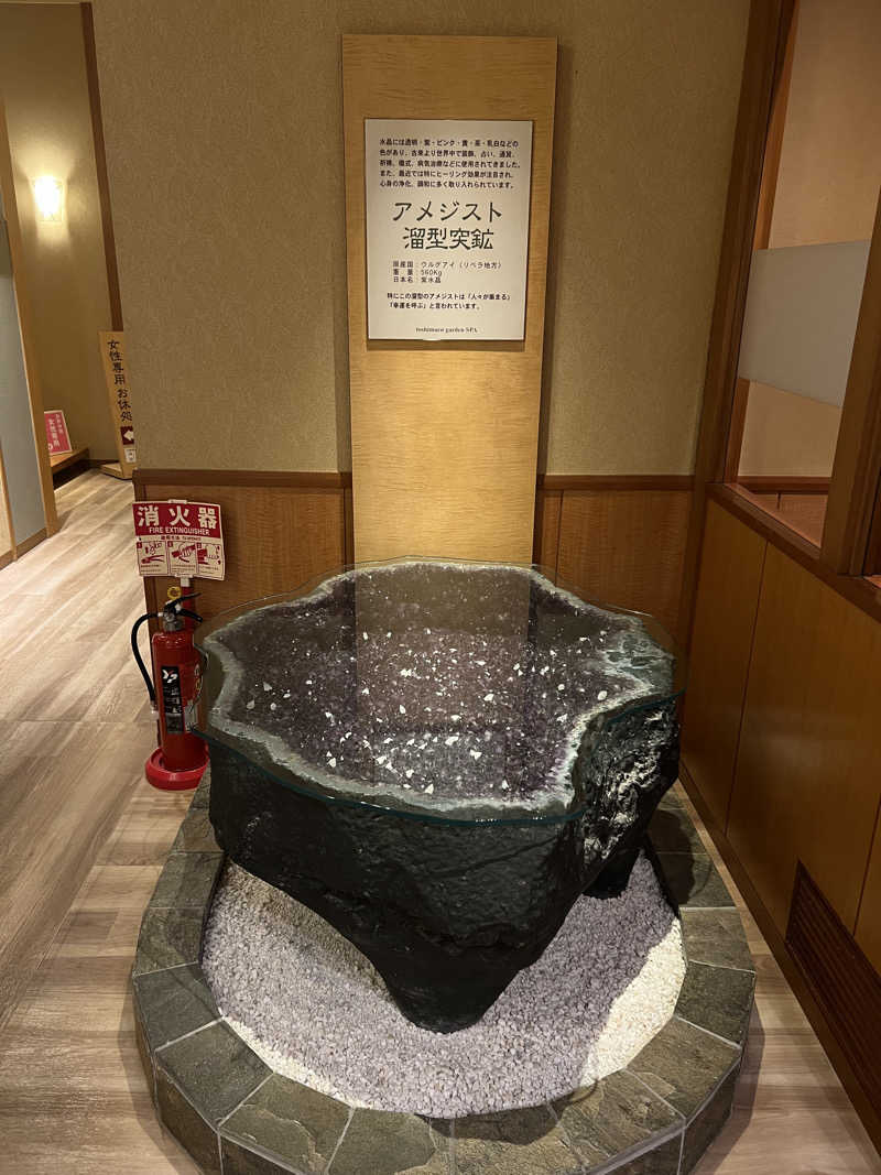 めーめーさんの豊島園 庭の湯のサ活写真