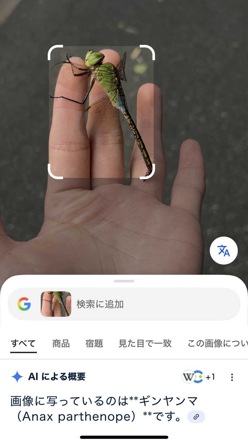 モジャンボさんの千石湯のサ活写真