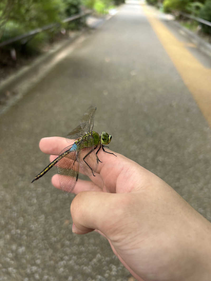 モジャンボさんの千石湯のサ活写真