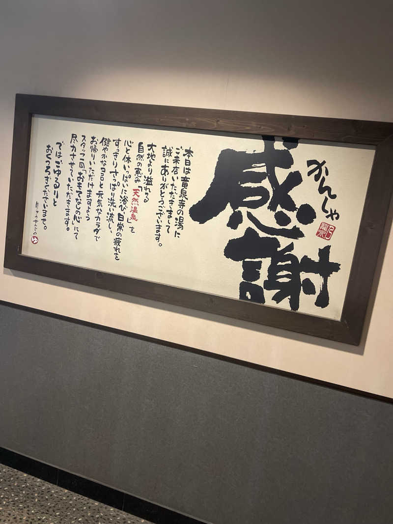 整いの向こう側さんの竜泉寺の湯 豊田浄水店のサ活写真