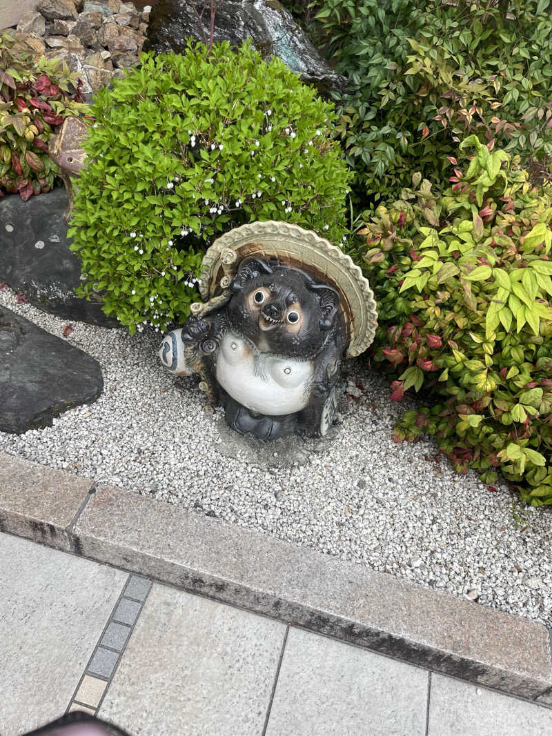 整いの向こう側さんの豊田挙母温泉 おいでんの湯のサ活写真
