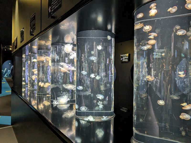 ぱ【嫁1号】さんのKAMEYA HOTEL (旧屋号:湯野浜温泉亀や)のサ活写真