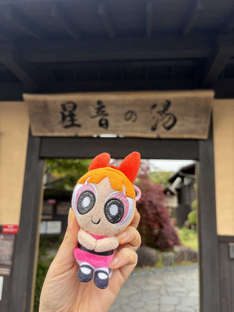 えりかさんの天然自家源泉 星音の湯のサ活写真