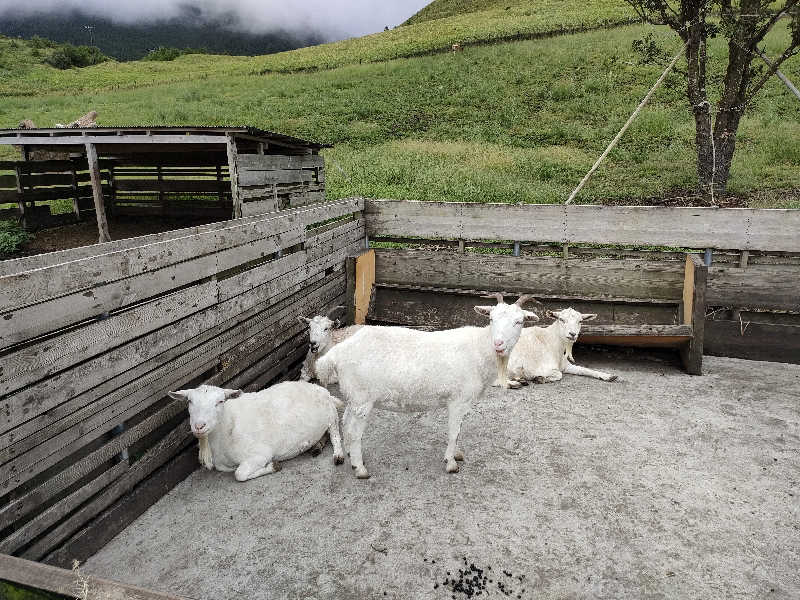 おささんのGRAND VERDE RESORTのサ活写真