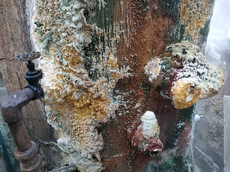 おささんの陽光荘のサ活写真