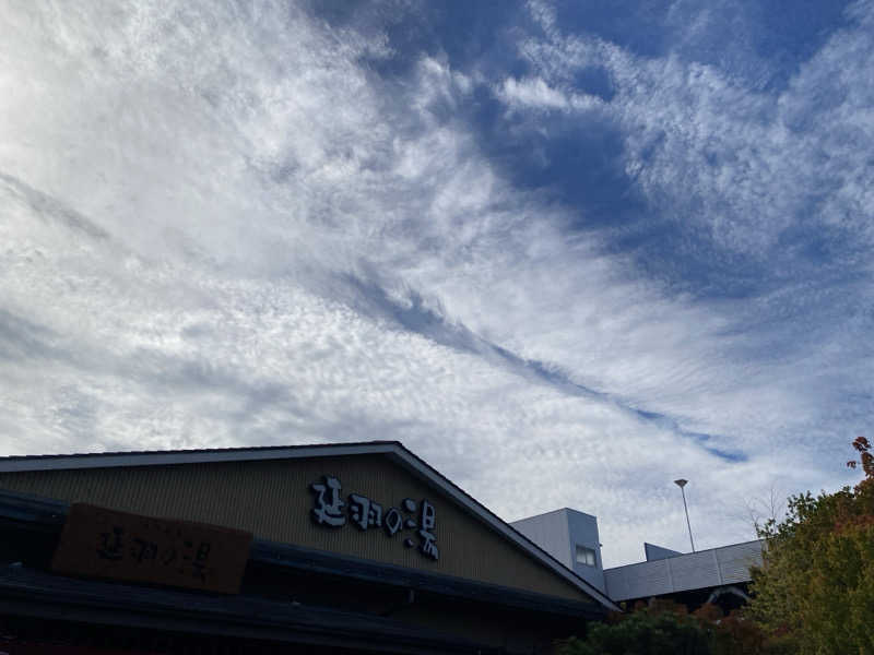 TAMMYさんの天然温泉 延羽の湯 本店 羽曳野のサ活写真