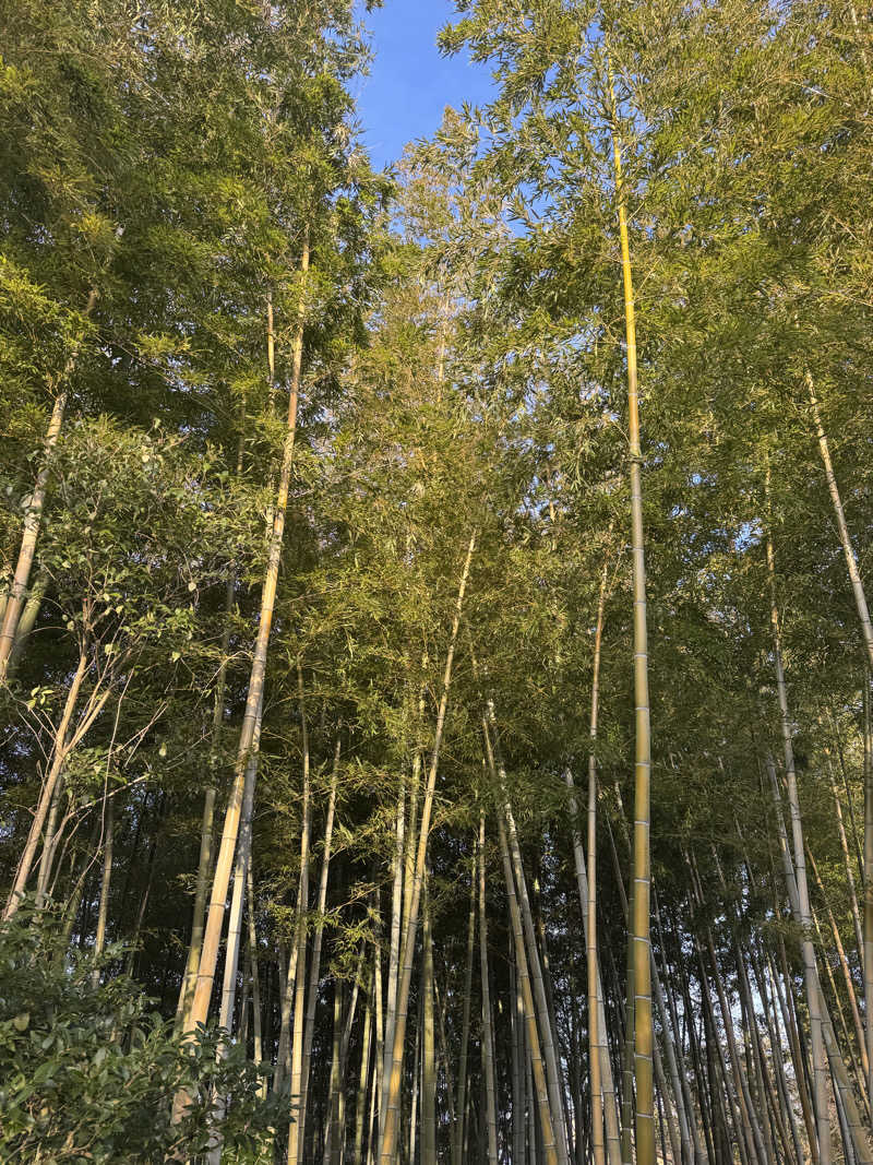 俺たちサフレだよな？さんの秋田温泉プラザのサ活写真