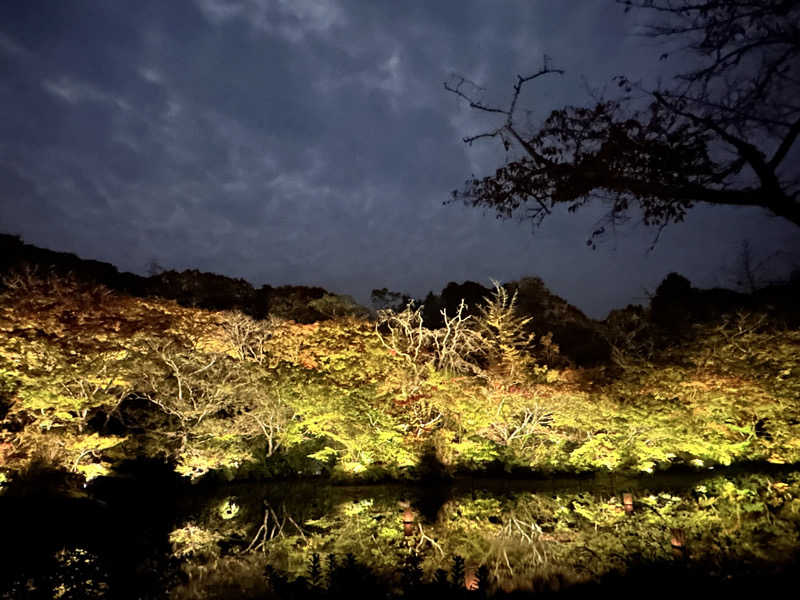 サウナーおにーさんさんの御船山楽園ホテル  らかんの湯のサ活写真