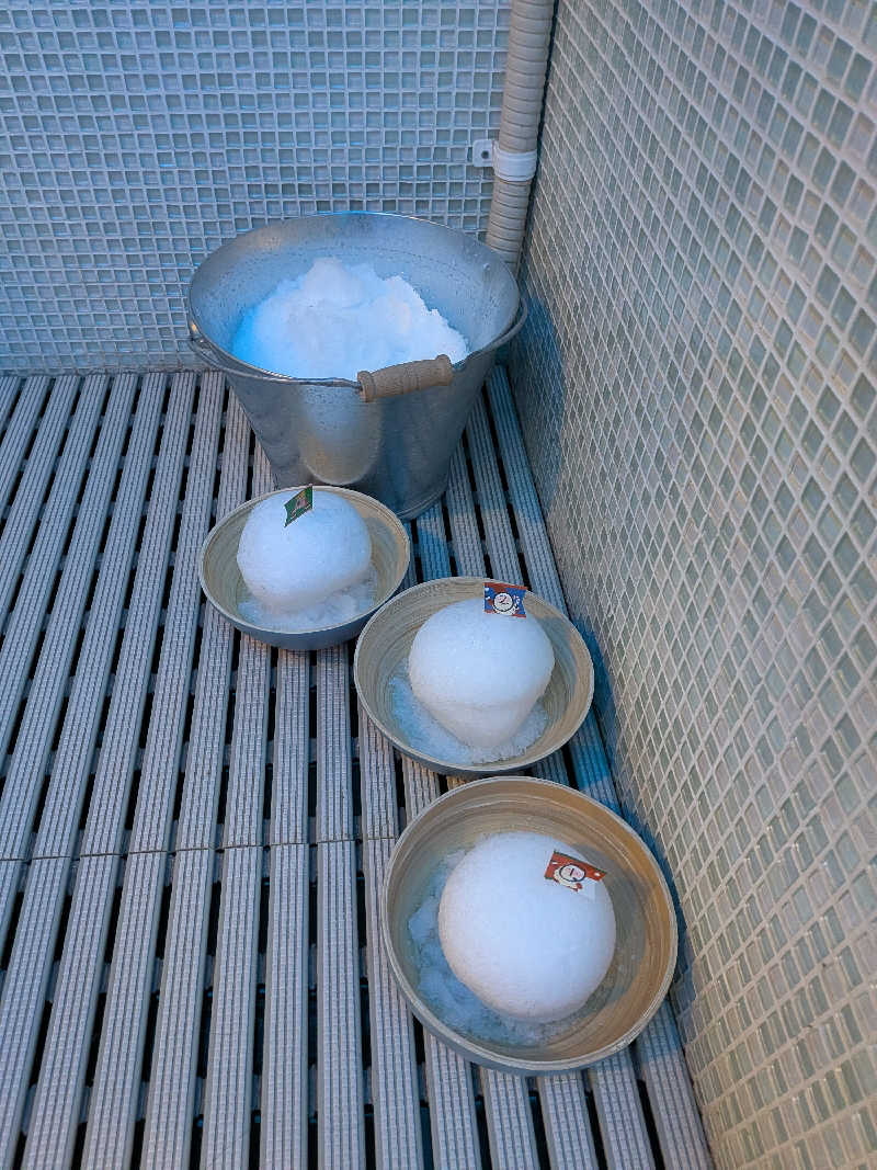 みとすぃさんの南柏天然温泉すみれのサ活写真