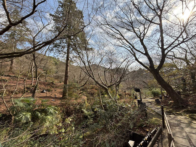 蒸しよかさんの御船山楽園ホテル  らかんの湯のサ活写真