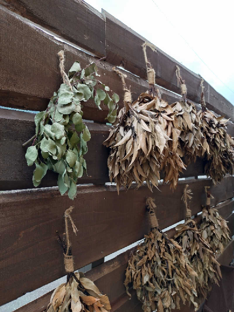 洗濯機は二層式さんの山賊サウナのサ活写真