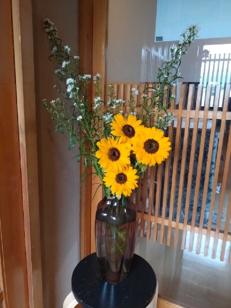 洗濯機は二層式さんの山賊サウナのサ活写真