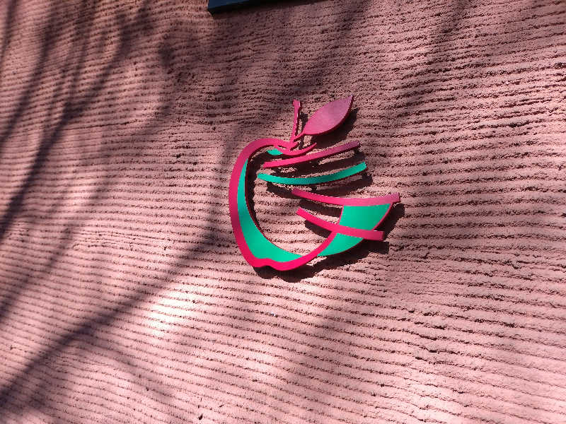 洗濯機は二層式さんの林檎の湯屋 おぶ～のサ活写真