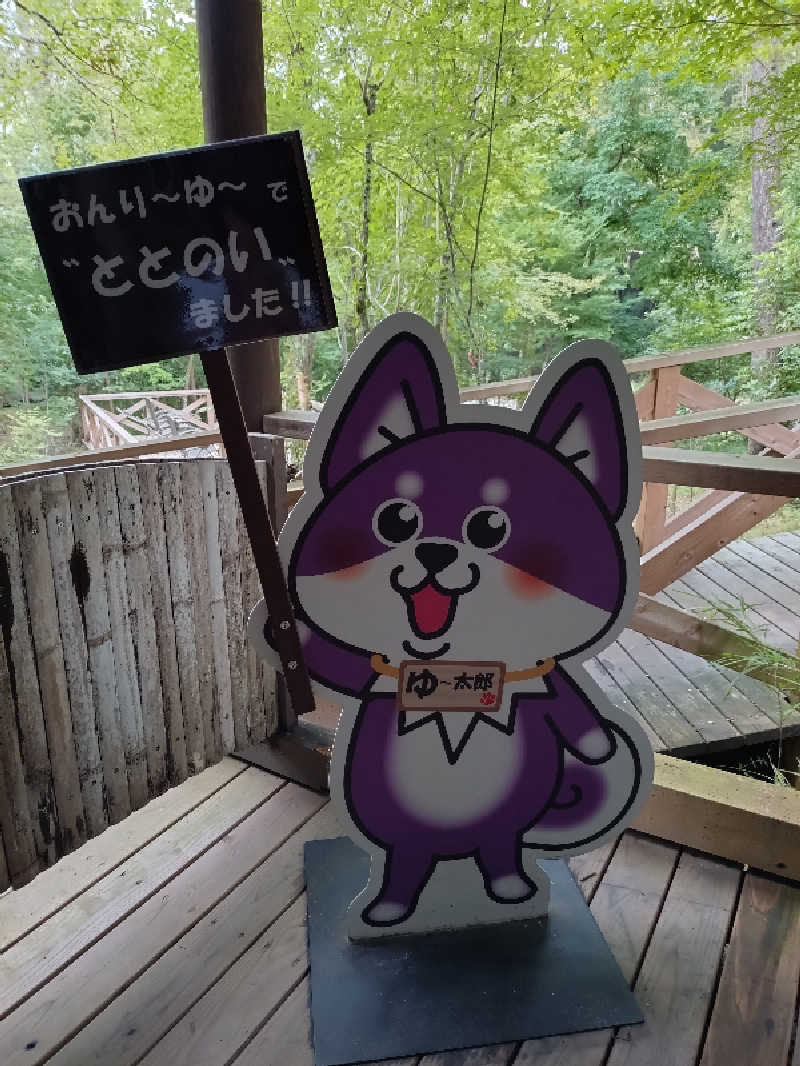 洗濯機は二層式さんのモダン湯治 おんりーゆーのサ活写真
