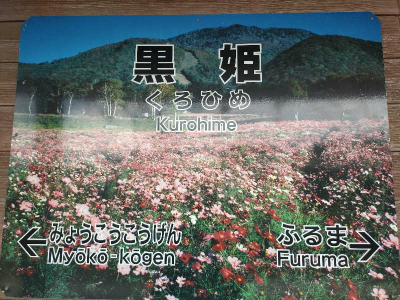 洗濯機は二層式さんの善光の湯 ドーミーイン長野のサ活写真