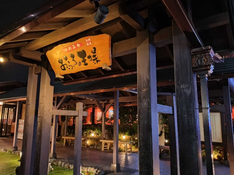 洗濯機は二層式さんのおふろの王様 海老名店のサ活写真