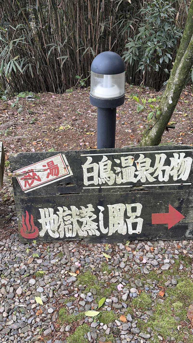 ぶーちゃん🐷さんの白鳥温泉上湯のサ活写真