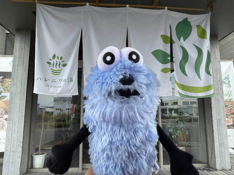 SUPER RAKKOちゃん🦫🧡さんのおふろcafé ハレニワの湯のサ活写真