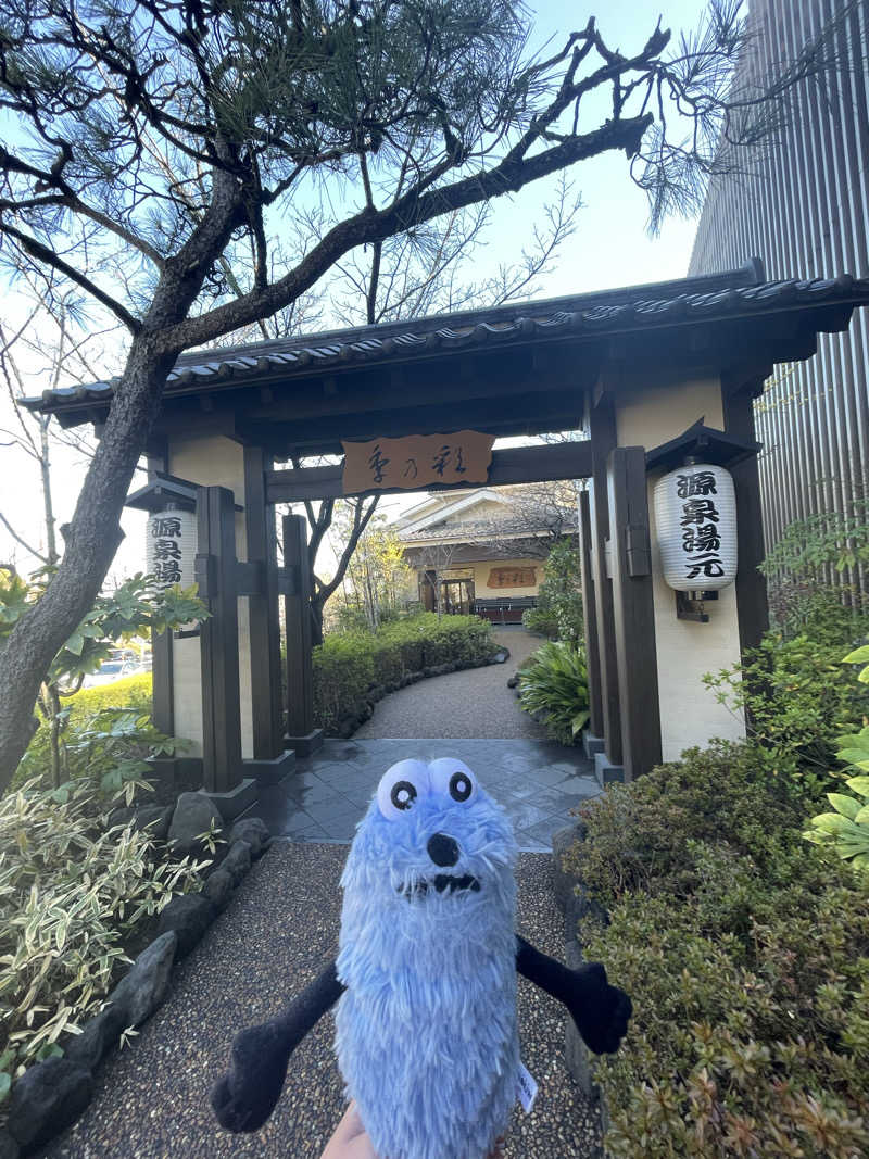 SUPER RAKKOちゃん⭐️さんの稲城天然温泉 季乃彩(ときのいろどり )のサ活写真