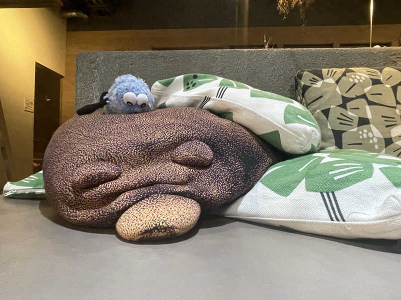 SUPER RAKKOちゃん🦫🧡さんのおふろcafé ハレニワの湯のサ活写真