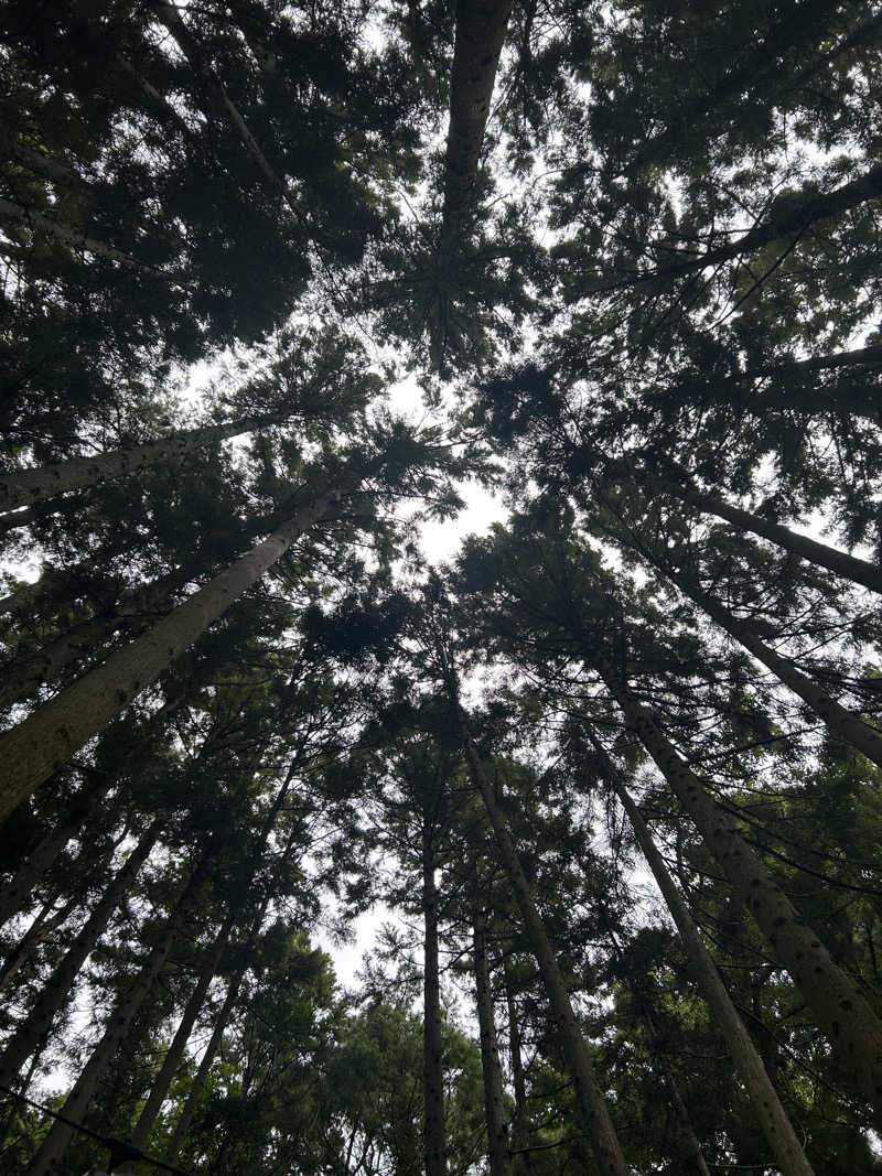 なっちゃんさんのJUURI SAUNA(ユーリサウナ)のサ活写真