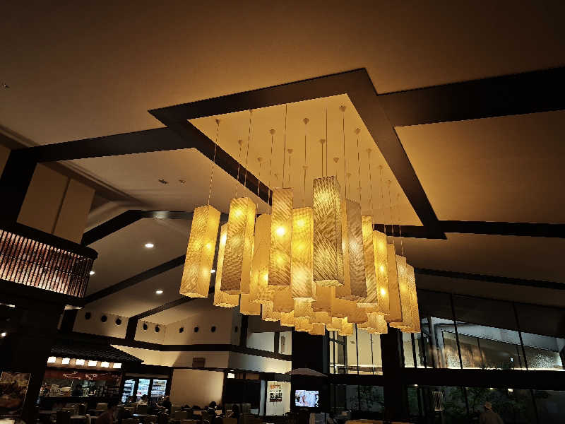 BuenaVistaSoshiranuClubさんの天然温泉 延羽の湯 本店 羽曳野のサ活写真