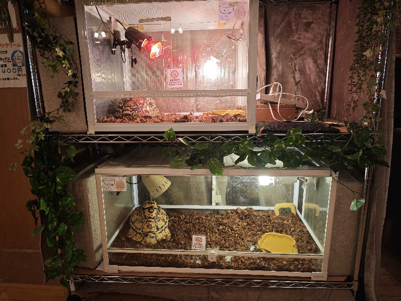 BuenaVistaSoshiranuClubさんの天然温泉 華の湯のサ活写真